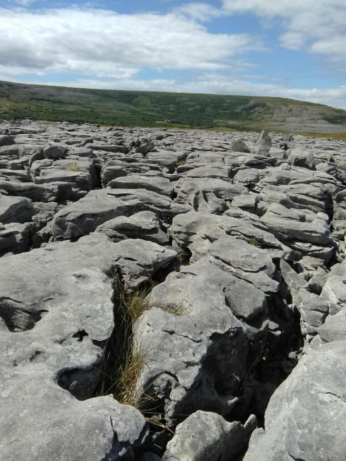 Burren Rock Farmhouse B&B Turlough (Clare) Exterior foto