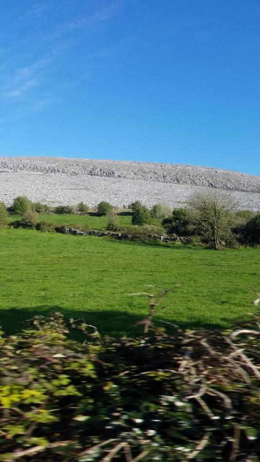 Burren Rock Farmhouse B&B Turlough (Clare) Exterior foto