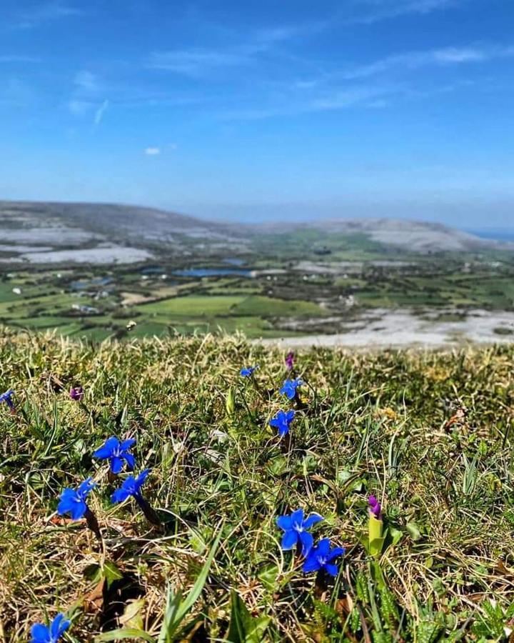 Burren Rock Farmhouse B&B Turlough (Clare) Exterior foto